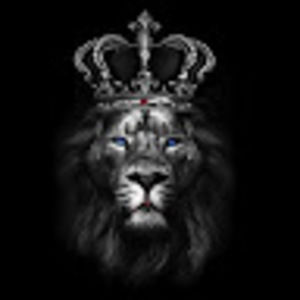 Meet your Posher, Tim